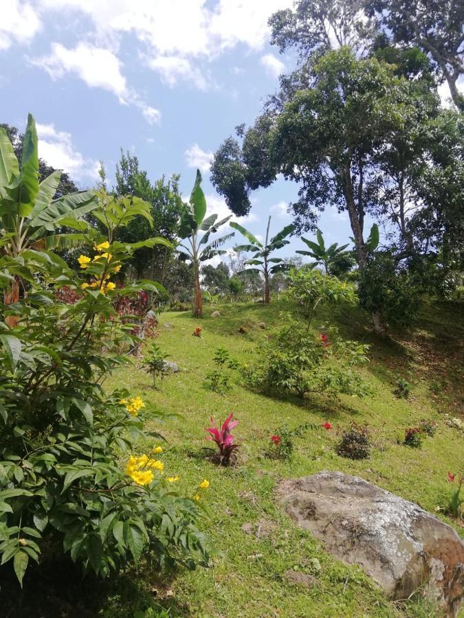 Reserva De Gomalu Campingplatz