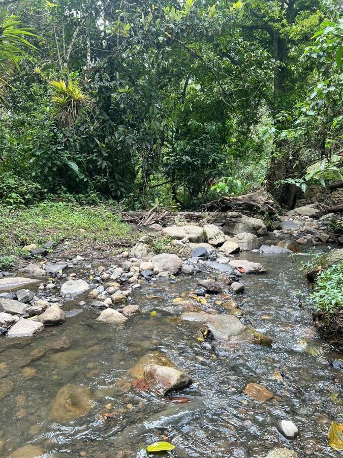 Reserva De Gomalu